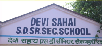Devi Sahai SD Sr. Sec. School Company logo